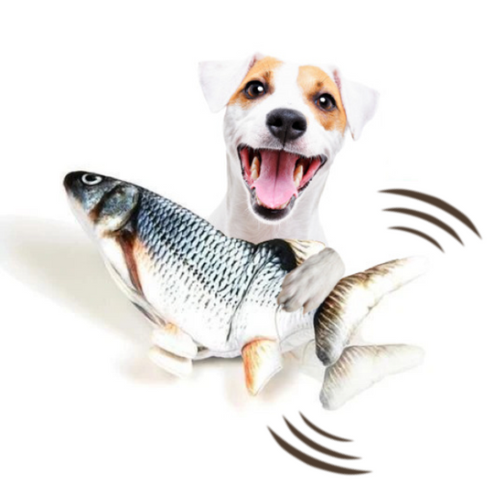 Floppy Fish - Haustierspielzeug 50% Rabatt!
